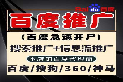 竞价排名策略案例：广告效果最大化技巧